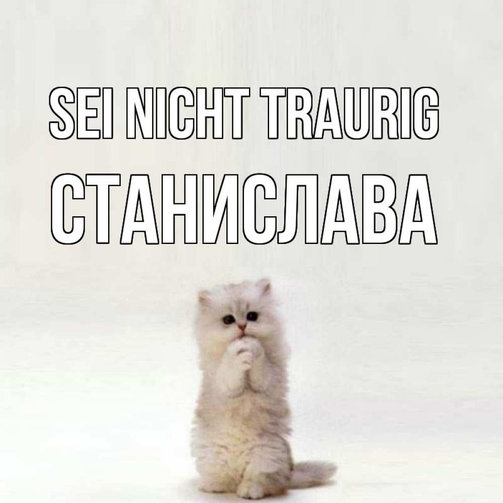 Открытка на каждый день с именем, Станислава Sei nicht traurig грустный кот Прикольная открытка с пожеланием онлайн скачать бесплатно 