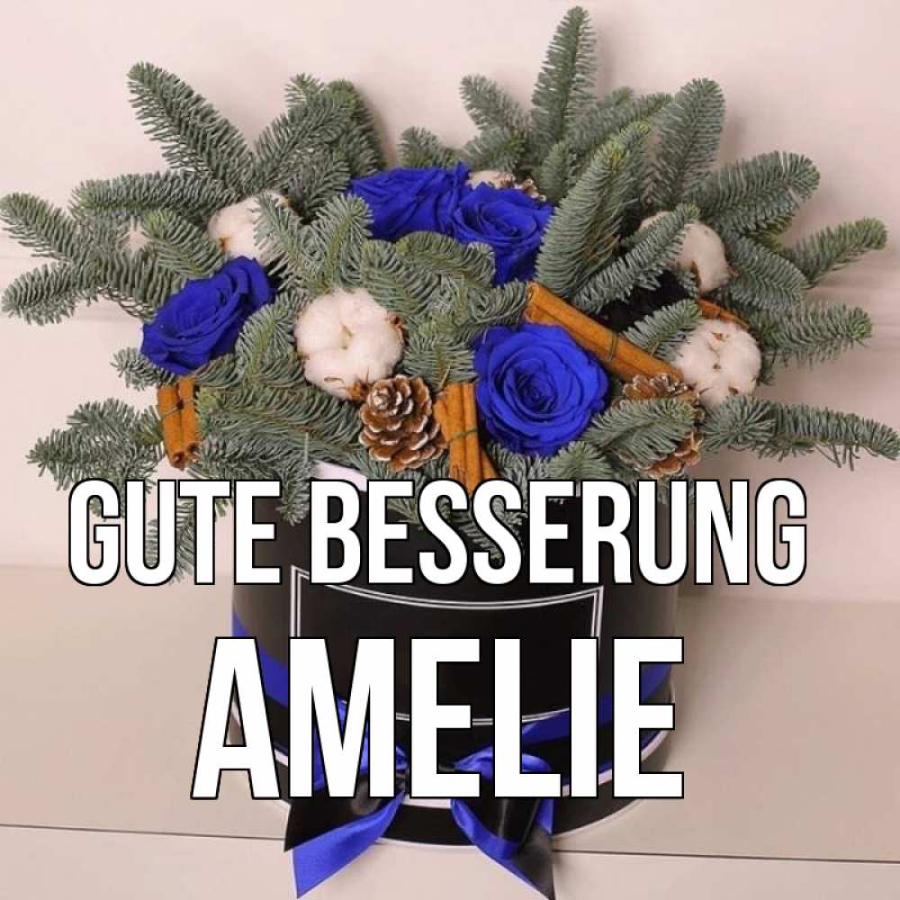 Открытка на каждый день с именем, Amelie Gute Besserung короче кто то загрузил эти шишки Прикольная открытка с пожеланием онлайн скачать бесплатно 