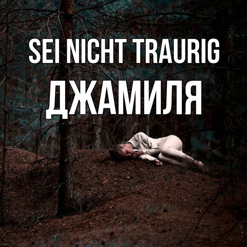 Открытка на каждый день с именем, Джамиля Sei nicht traurig лес Прикольная открытка с пожеланием онлайн скачать бесплатно 