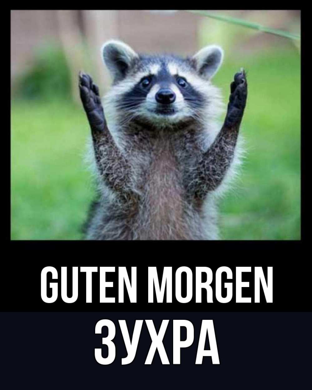 Открытка на каждый день с именем, Зухра Guten Morgen хорошее настроение утречком Прикольная открытка с пожеланием онлайн скачать бесплатно 