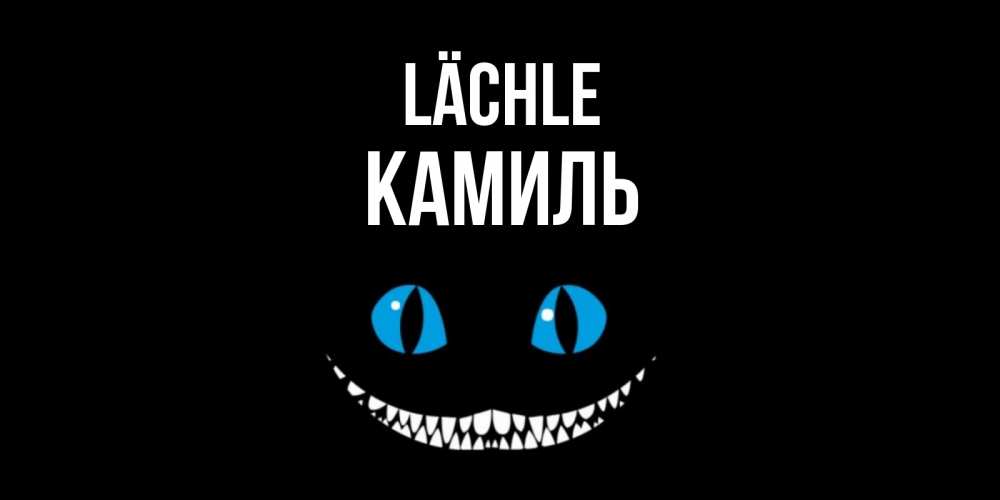 Открытка на каждый день с именем, Камиль Lächle кот улыбается Прикольная открытка с пожеланием онлайн скачать бесплатно 