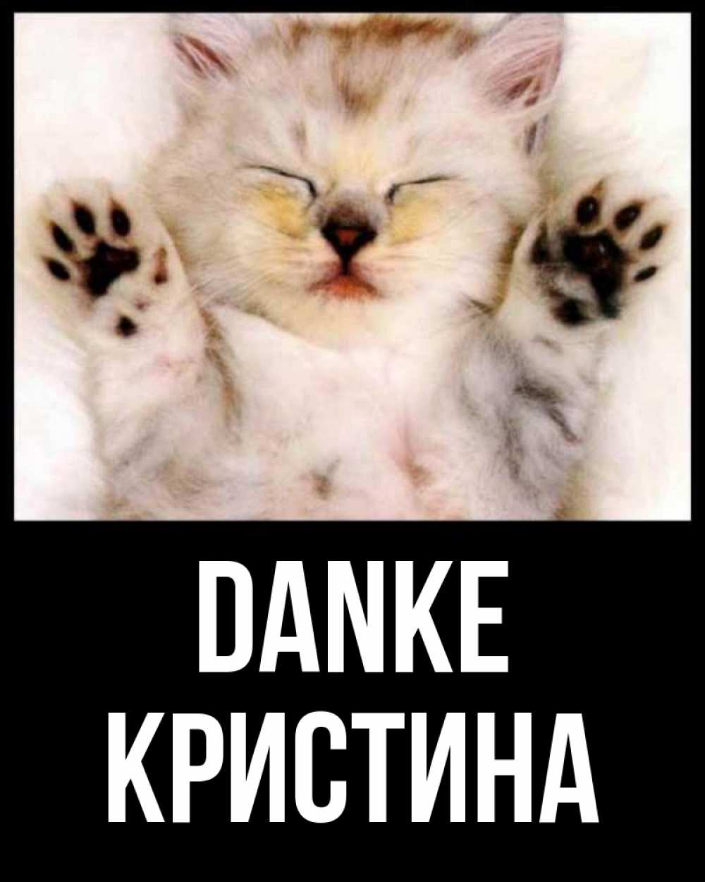 Открытка на каждый день с именем, Кристина Danke маленький котенок Прикольная открытка с пожеланием онлайн скачать бесплатно 