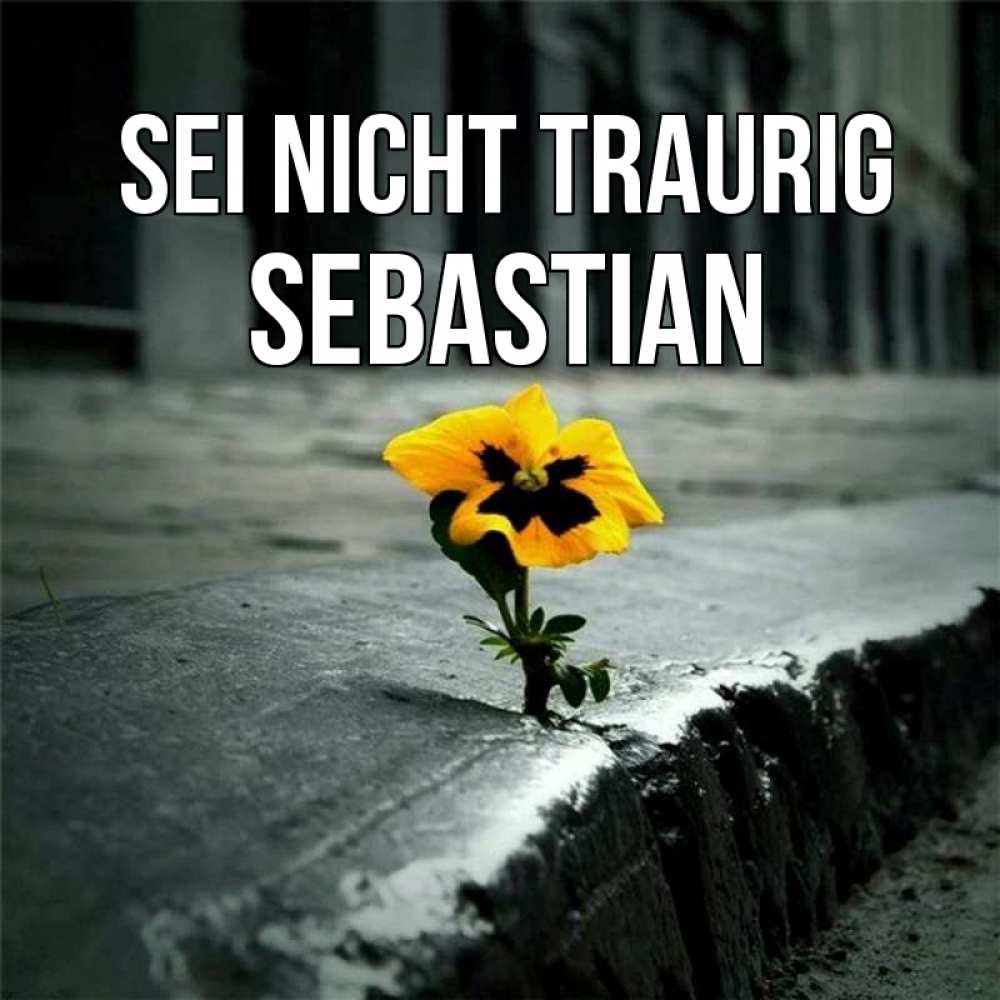 Открытка на каждый день с именем, Sebastian Sei nicht traurig не сдавайся Прикольная открытка с пожеланием онлайн скачать бесплатно 
