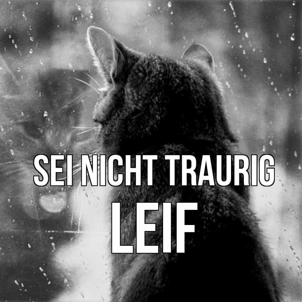 Открытка на каждый день с именем, Leif Sei nicht traurig отражение кота 1 Прикольная открытка с пожеланием онлайн скачать бесплатно 