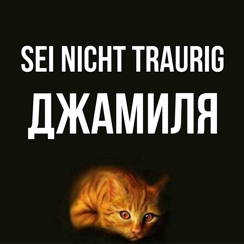 Открытка на каждый день с именем, Джамиля Sei nicht traurig лежащий кот в темноте Прикольная открытка с пожеланием онлайн скачать бесплатно 