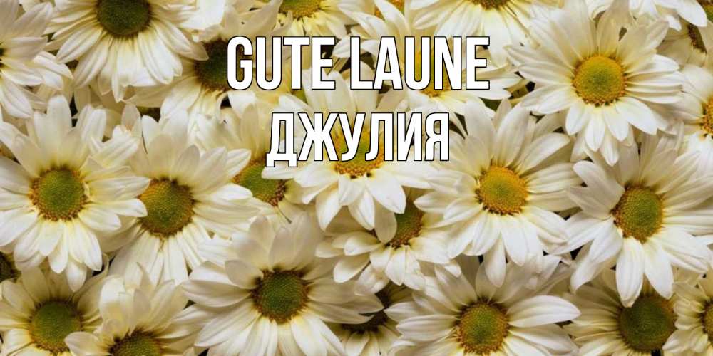 Открытка на каждый день с именем, Джулия Gute Laune крупные ромашки Прикольная открытка с пожеланием онлайн скачать бесплатно 