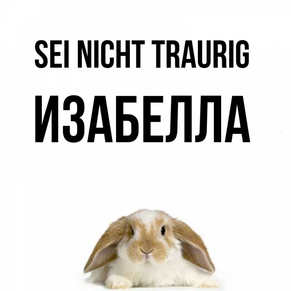 Открытка на каждый день с именем, Изабелла Sei nicht traurig коричнево белый заяц с большими ушками Прикольная открытка с пожеланием онлайн скачать бесплатно 