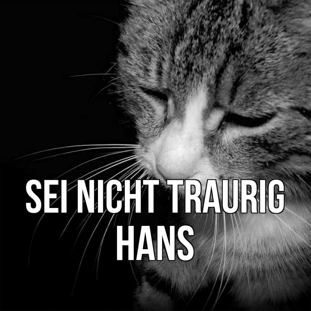 Открытка на каждый день с именем, Hans Sei nicht traurig грустный котик Прикольная открытка с пожеланием онлайн скачать бесплатно 