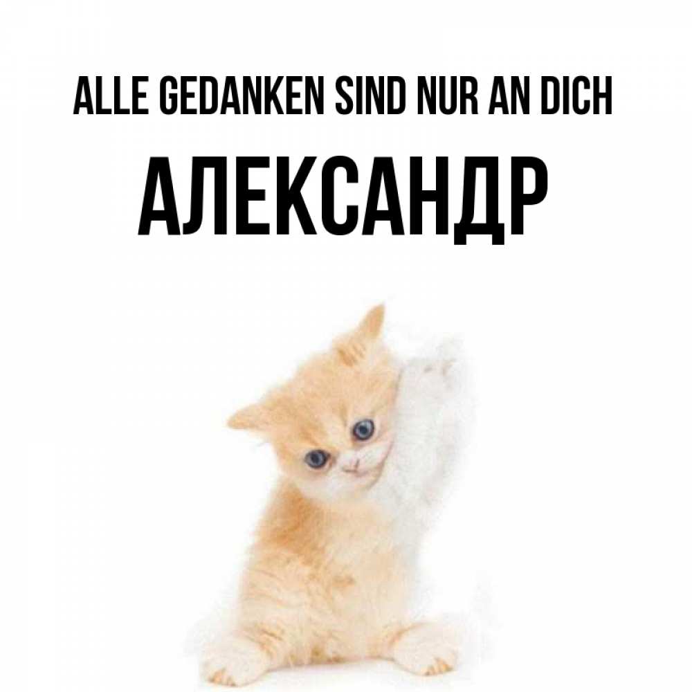 Открытка на каждый день с именем, Александр Alle Gedanken sind nur an dich зверушки и милота Прикольная открытка с пожеланием онлайн скачать бесплатно 