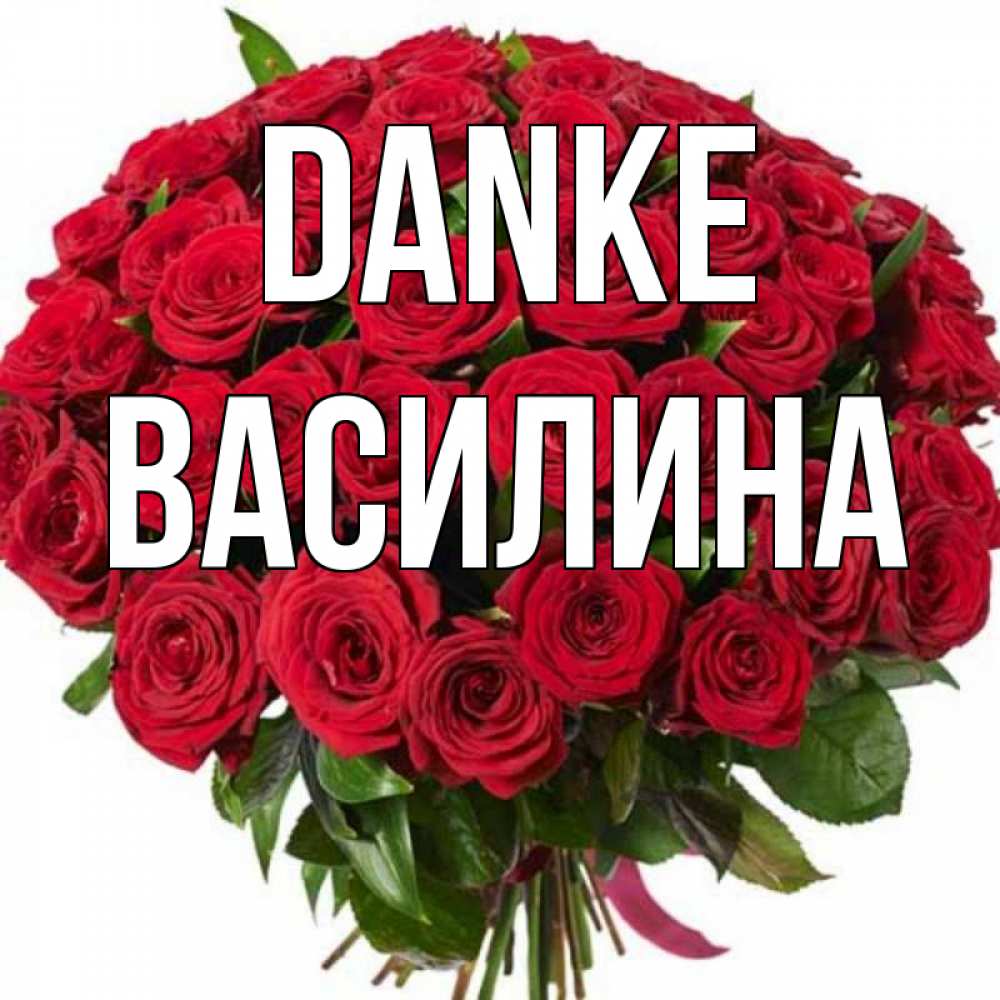 Открытка на каждый день с именем, Василина Danke букет красных роз Прикольная открытка с пожеланием онлайн скачать бесплатно 