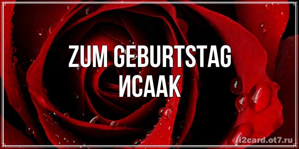 Открытка на каждый день с именем, Исаак Zum Geburtstag крупная бордовая роза Прикольная открытка с пожеланием онлайн скачать бесплатно 