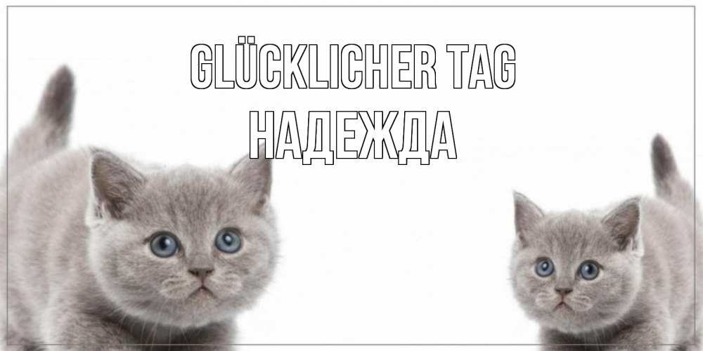 Открытка на каждый день с именем, Надежда Glücklicher Tag открытка с котами Прикольная открытка с пожеланием онлайн скачать бесплатно 