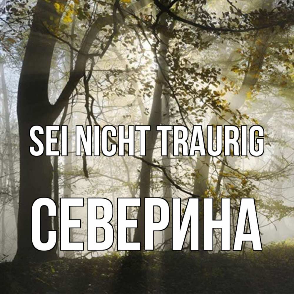 Открытка на каждый день с именем, Северина Sei nicht traurig лес и свет Прикольная открытка с пожеланием онлайн скачать бесплатно 
