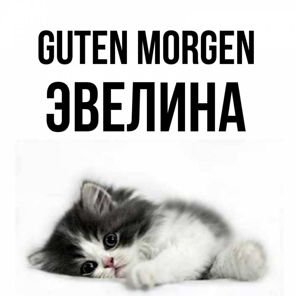 Открытка на каждый день с именем, Эвелина Guten Morgen кот лапки Прикольная открытка с пожеланием онлайн скачать бесплатно 