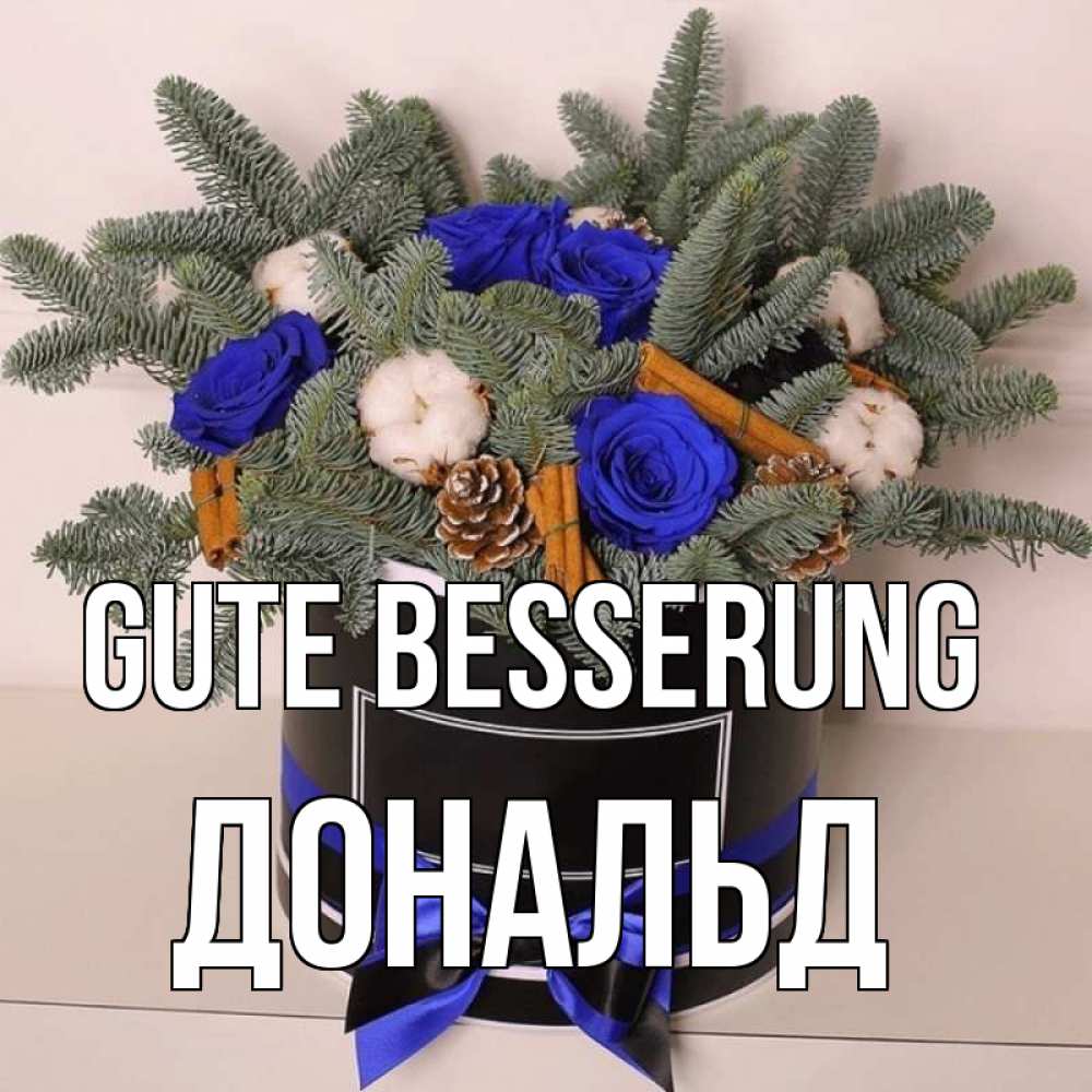 Открытка на каждый день с именем, Дональд Gute Besserung короче кто то загрузил эти шишки Прикольная открытка с пожеланием онлайн скачать бесплатно 