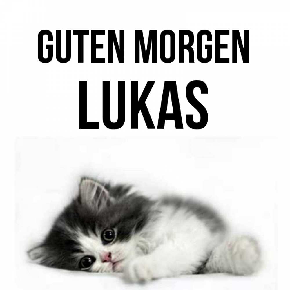Открытка на каждый день с именем, Lukas Guten Morgen кот лапки Прикольная открытка с пожеланием онлайн скачать бесплатно 