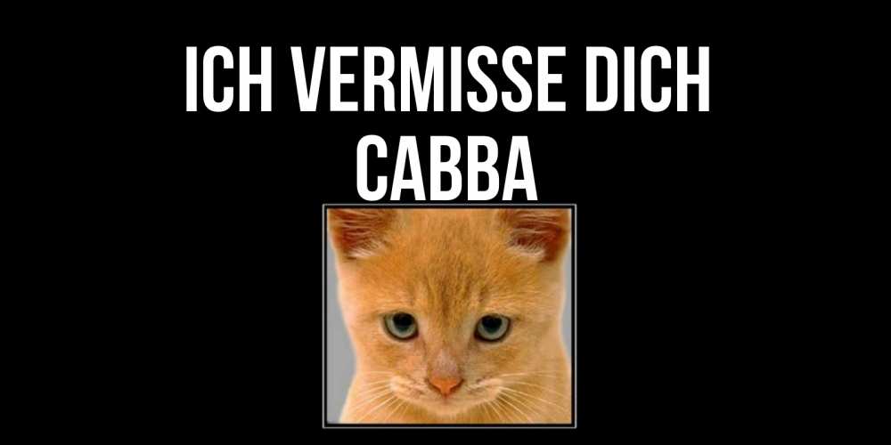 Открытка на каждый день с именем, Савва Ich vermisse dich открытки рыжий котенок скучает по тебе Прикольная открытка с пожеланием онлайн скачать бесплатно 