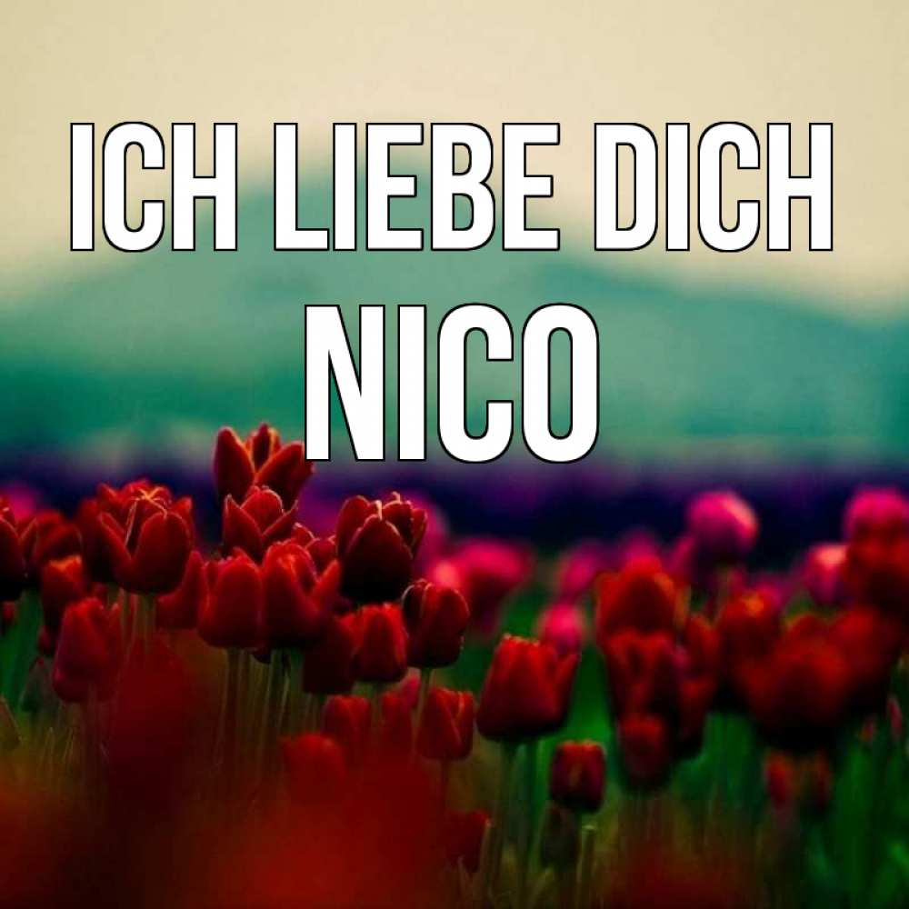 Открытка на каждый день с именем, Nico Ich liebe dich тюльпаны 4 Прикольная открытка с пожеланием онлайн скачать бесплатно 