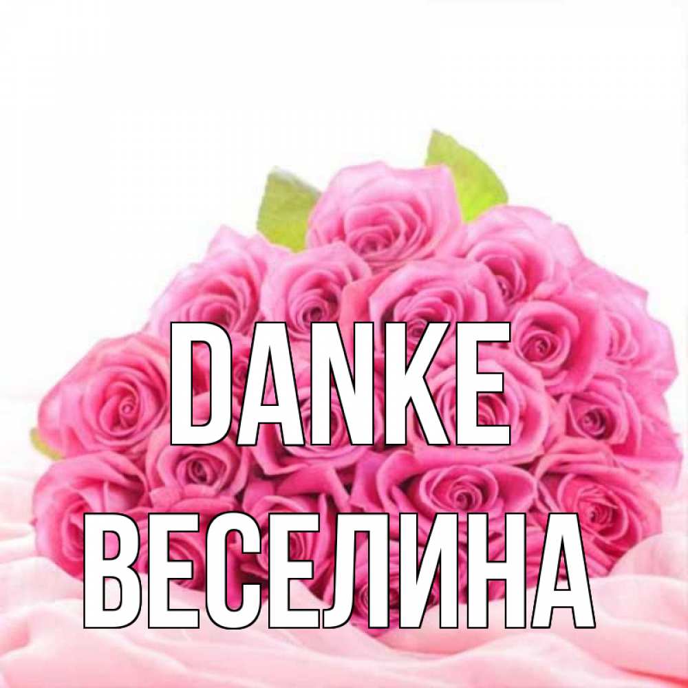 Открытка на каждый день с именем, Веселина Danke розовые розы с подписью Прикольная открытка с пожеланием онлайн скачать бесплатно 