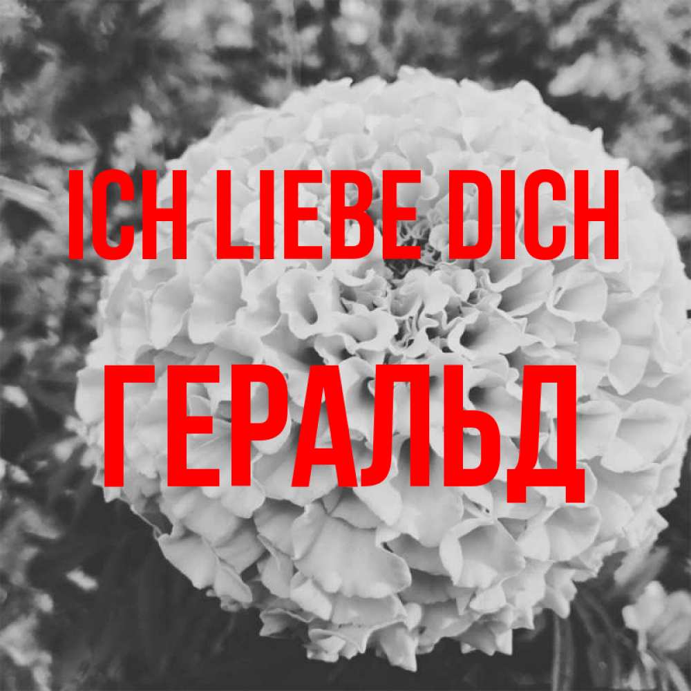 Открытка на каждый день с именем, Геральд Ich liebe dich подпись Прикольная открытка с пожеланием онлайн скачать бесплатно 