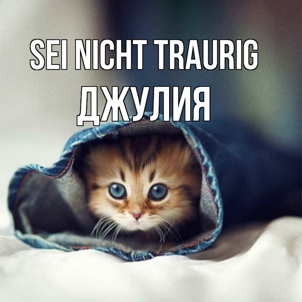 Открытка на каждый день с именем, Джулия Sei nicht traurig рыжик котик Прикольная открытка с пожеланием онлайн скачать бесплатно 