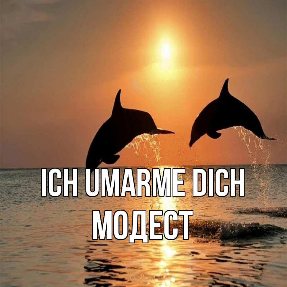 Открытка на каждый день с именем, Модест Ich umarme dich рыбы на закате Прикольная открытка с пожеланием онлайн скачать бесплатно 