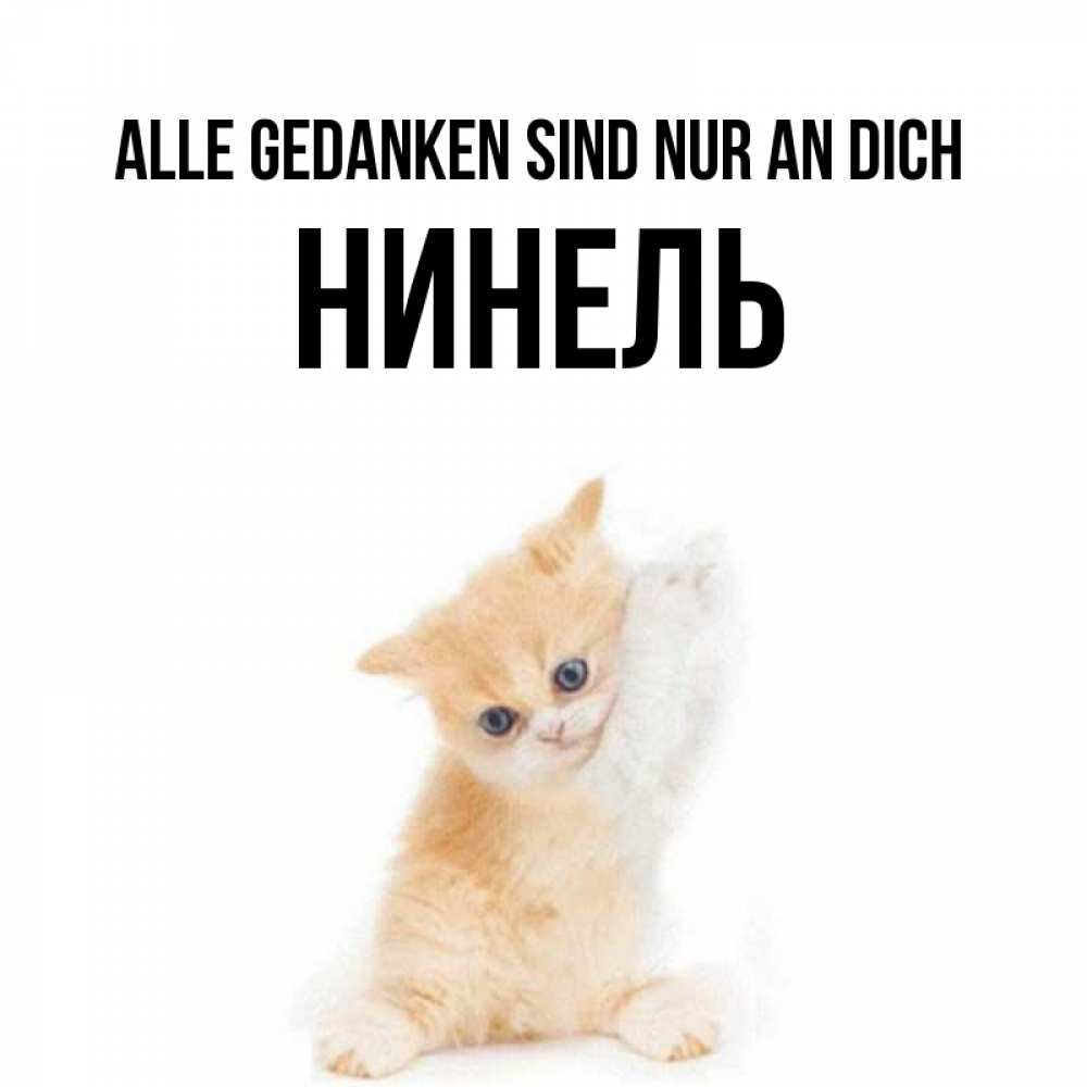 Открытка на каждый день с именем, Нинель Alle Gedanken sind nur an dich зверушки и милота Прикольная открытка с пожеланием онлайн скачать бесплатно 