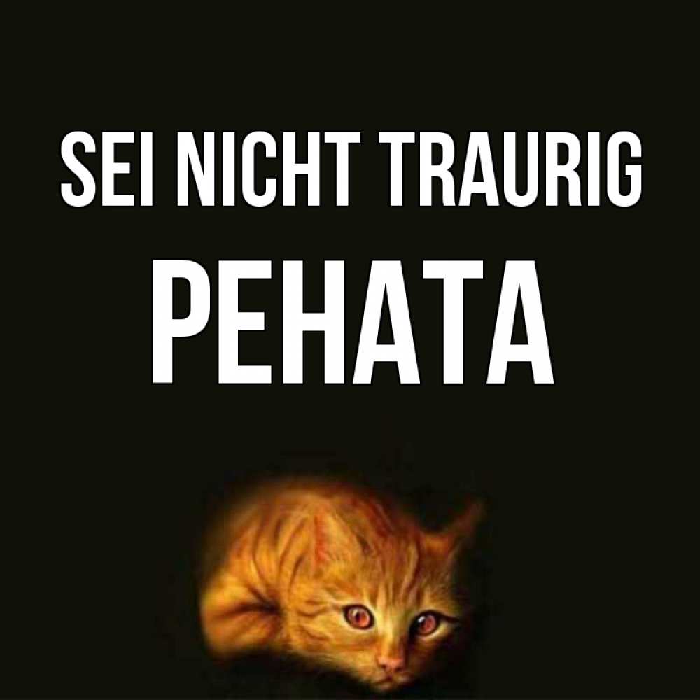 Открытка на каждый день с именем, Рената Sei nicht traurig лежащий кот в темноте Прикольная открытка с пожеланием онлайн скачать бесплатно 