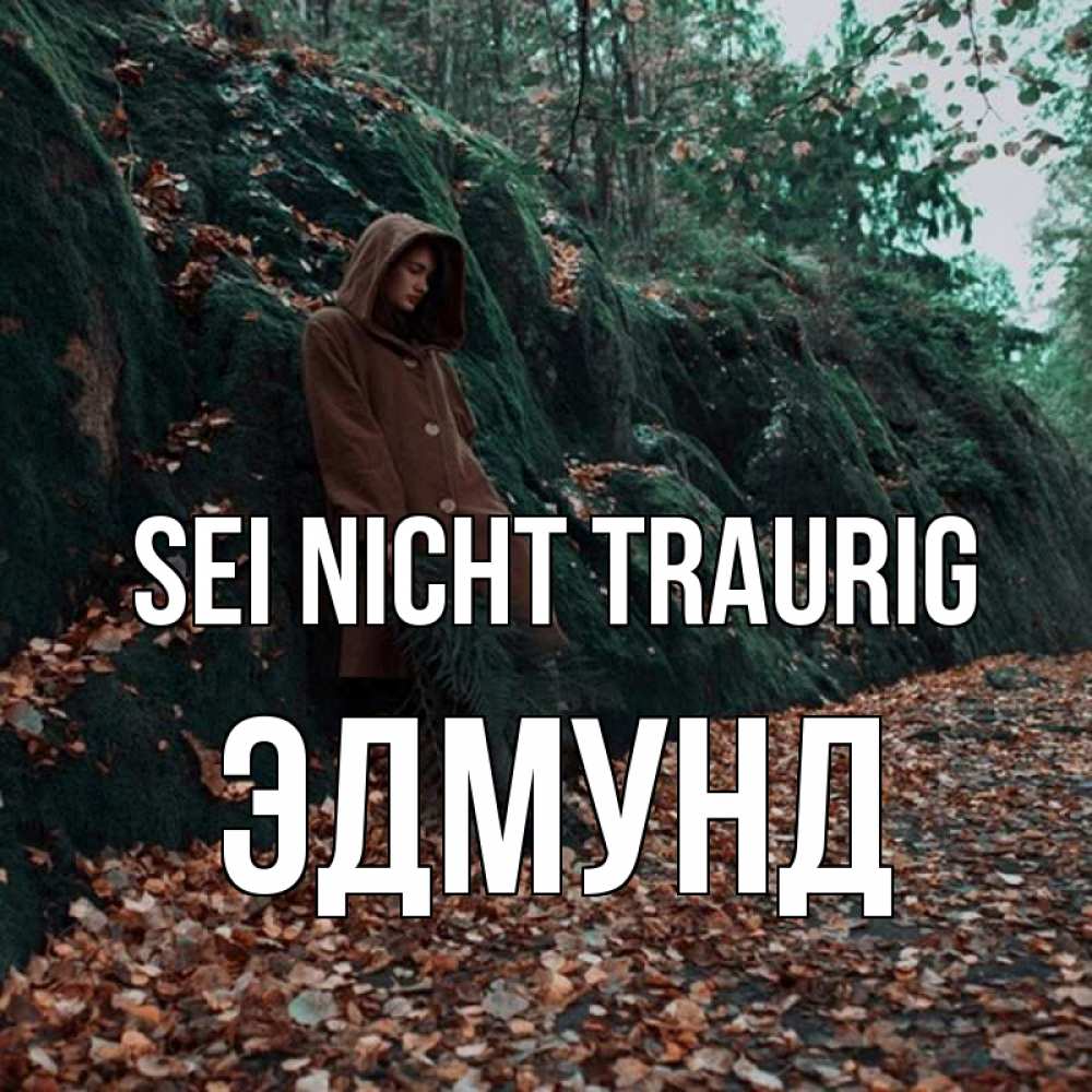 Открытка на каждый день с именем, Эдмунд Sei nicht traurig осенний лес Прикольная открытка с пожеланием онлайн скачать бесплатно 
