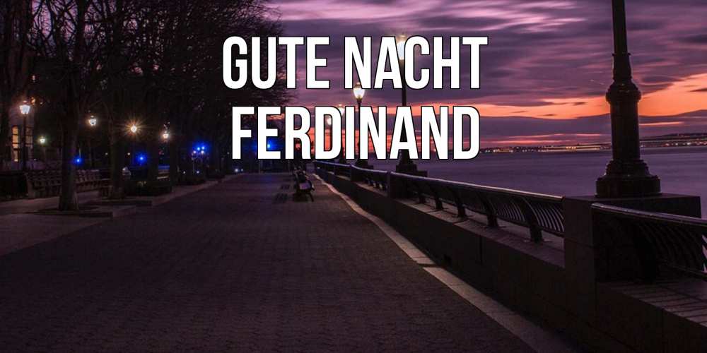 Открытка на каждый день с именем, Ferdinand Gute Nacht фонари на фоне реки Прикольная открытка с пожеланием онлайн скачать бесплатно 