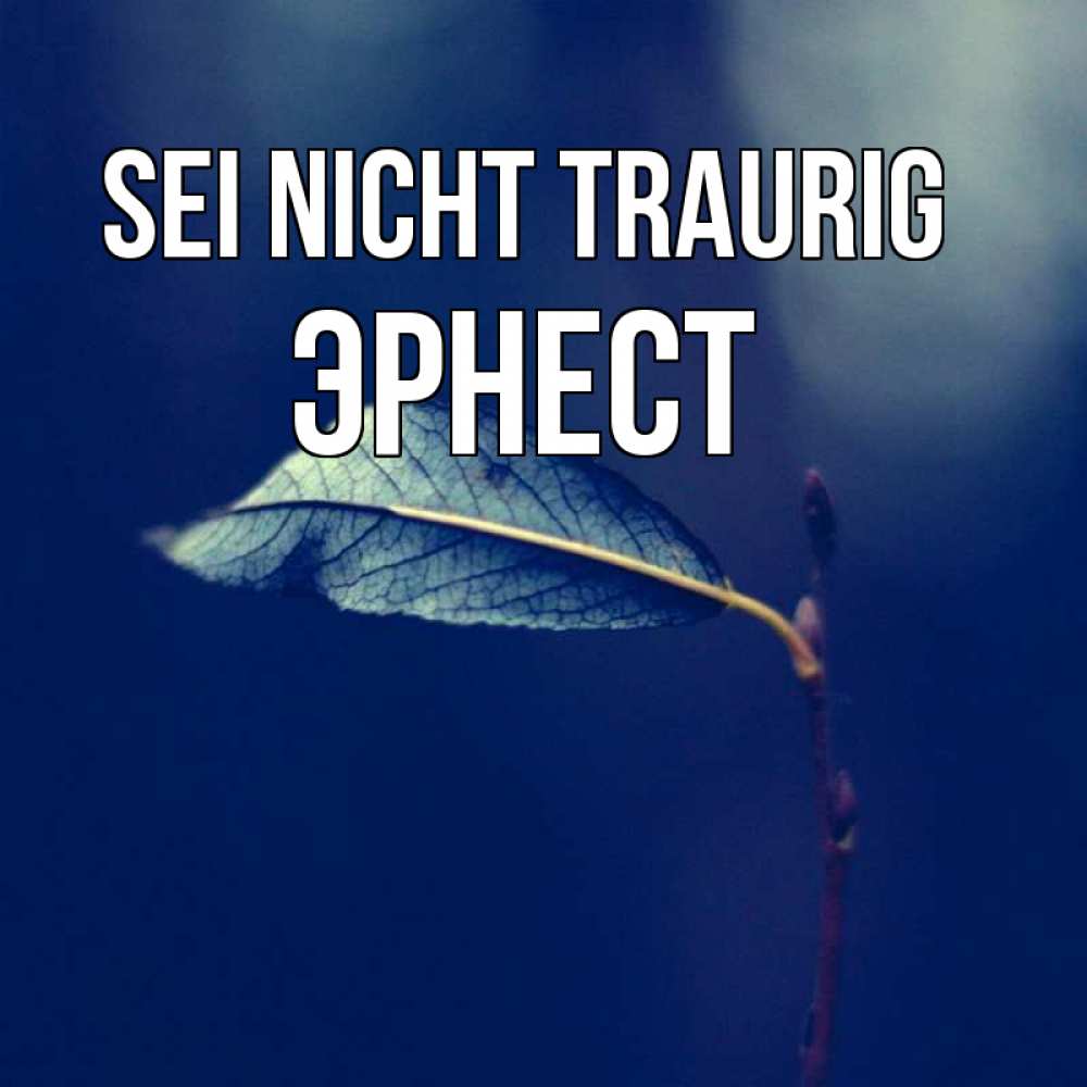 Открытка на каждый день с именем, Эрнест Sei nicht traurig растение Прикольная открытка с пожеланием онлайн скачать бесплатно 