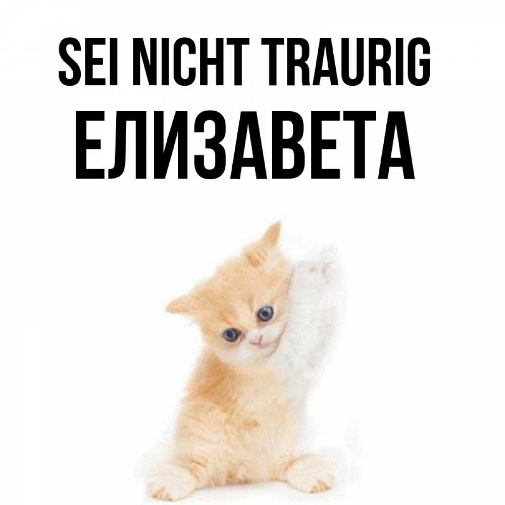 Открытка на каждый день с именем, Елизавета Sei nicht traurig просящий кот Прикольная открытка с пожеланием онлайн скачать бесплатно 