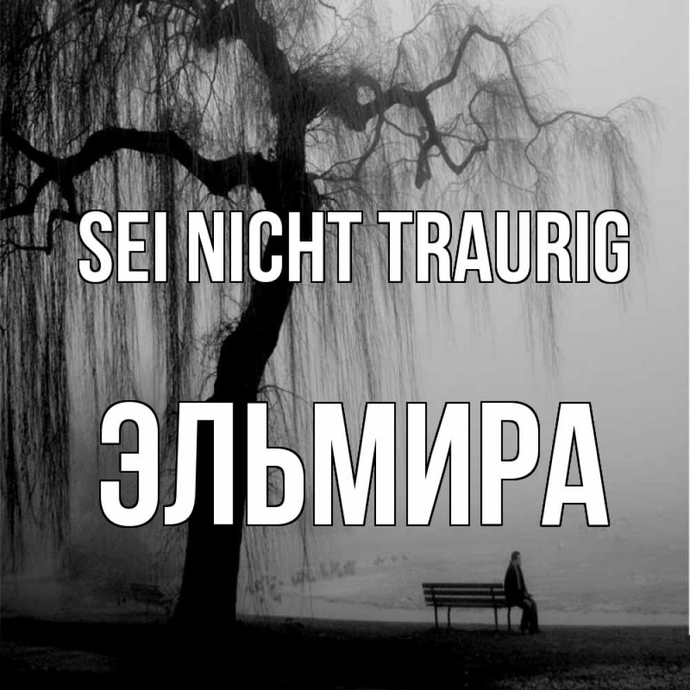 Открытка на каждый день с именем, Эльмира Sei nicht traurig висящие ветки дерева и лавочка под деревом Прикольная открытка с пожеланием онлайн скачать бесплатно 