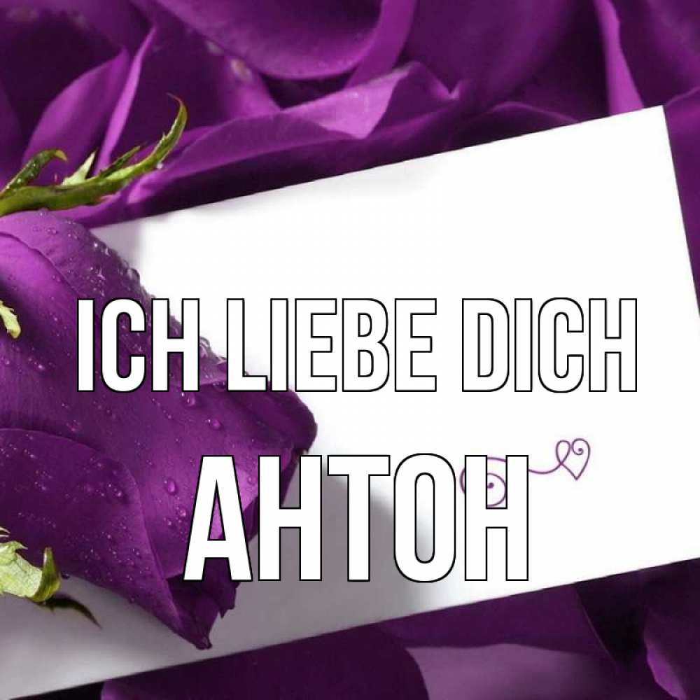 Открытка на каждый день с именем, Антон Ich liebe dich роза Прикольная открытка с пожеланием онлайн скачать бесплатно 
