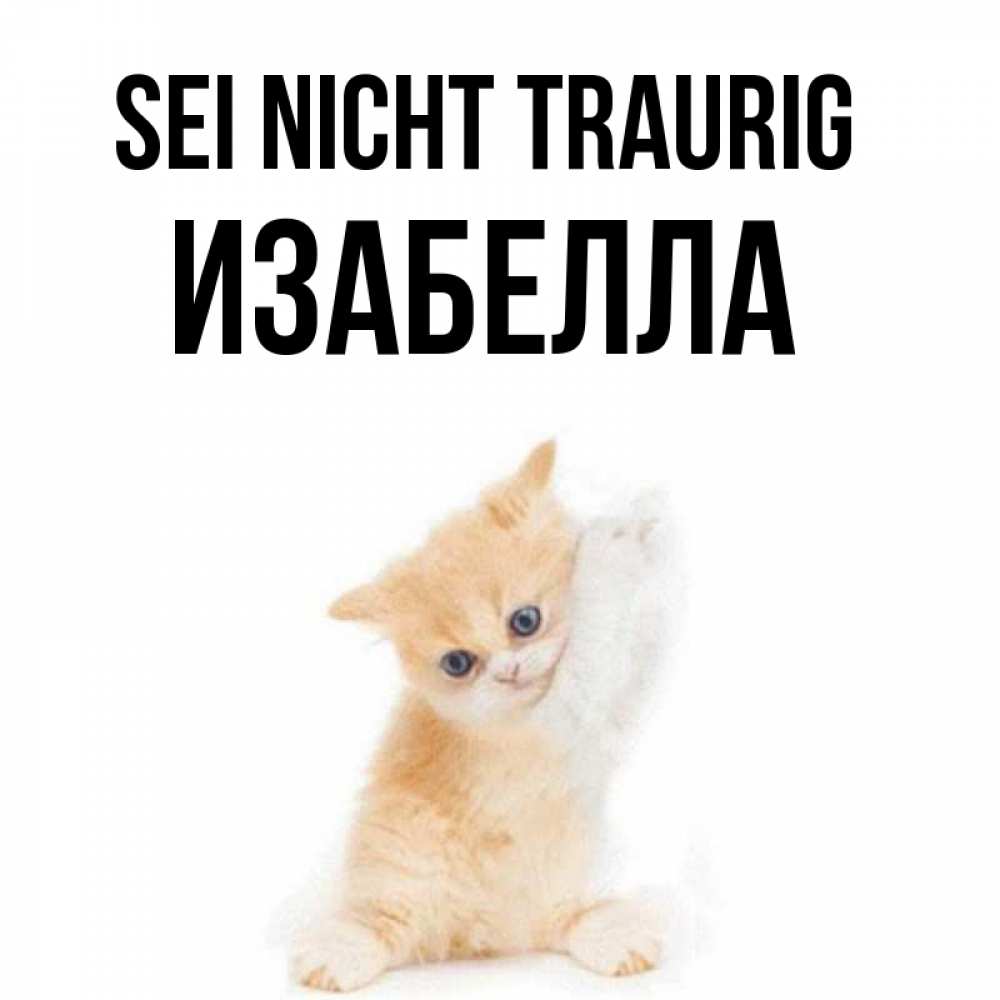Открытка на каждый день с именем, Изабелла Sei nicht traurig просящий кот Прикольная открытка с пожеланием онлайн скачать бесплатно 