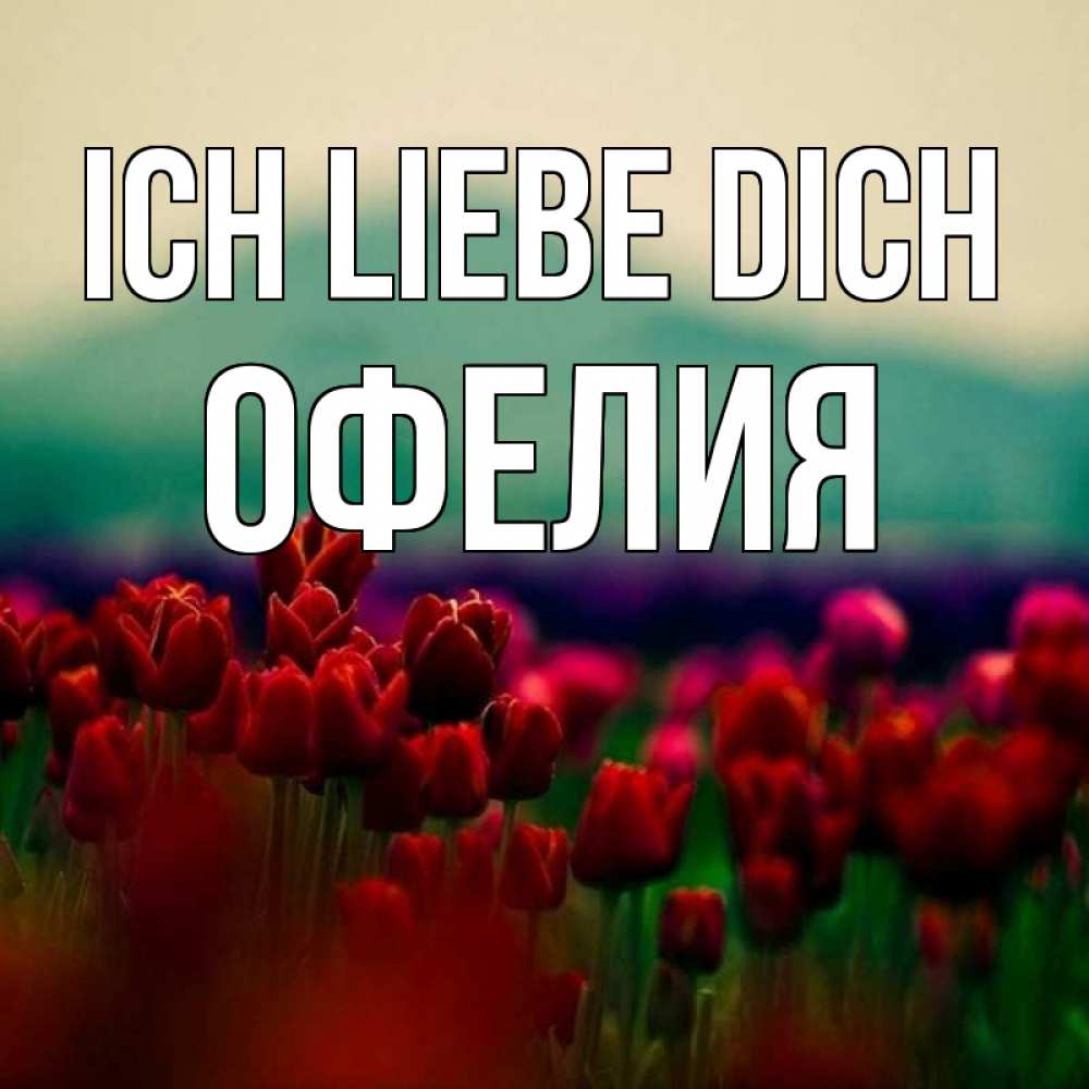 Открытка на каждый день с именем, Офелия Ich liebe dich тюльпаны 4 Прикольная открытка с пожеланием онлайн скачать бесплатно 