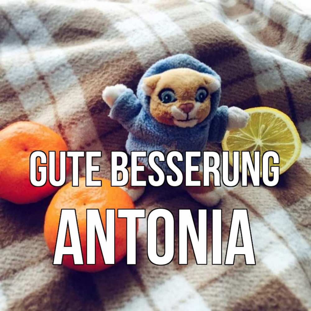 Открытка на каждый день с именем, Antonia Gute Besserung вот тебе апельсинка и лимон Прикольная открытка с пожеланием онлайн скачать бесплатно 