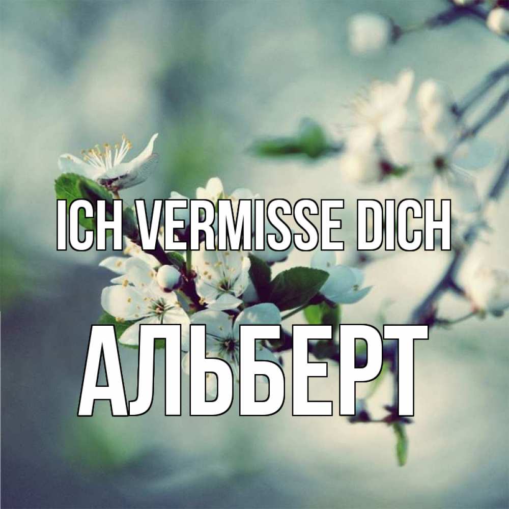 Открытка на каждый день с именем, Альберт Ich vermisse dich весна Прикольная открытка с пожеланием онлайн скачать бесплатно 