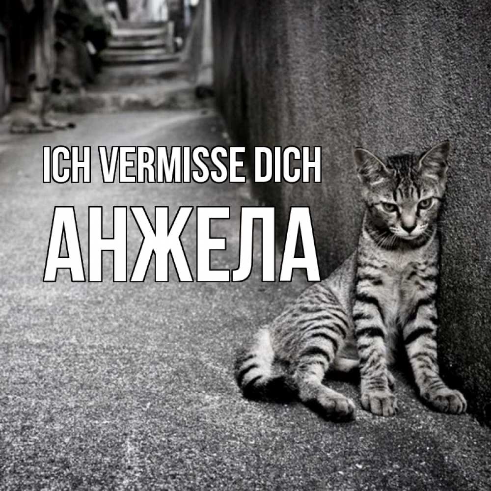 Открытка на каждый день с именем, Анжела Ich vermisse dich одиноко котику Прикольная открытка с пожеланием онлайн скачать бесплатно 