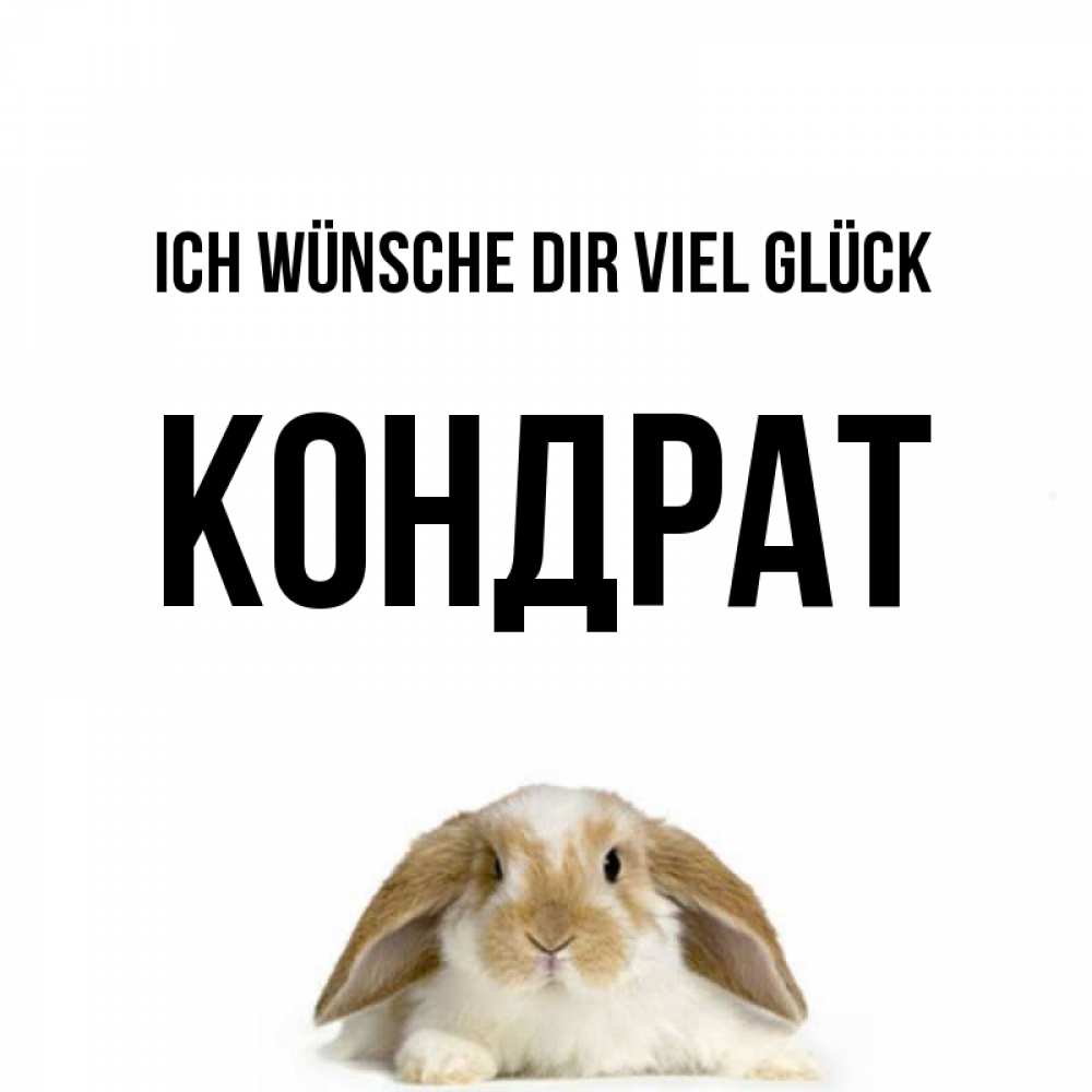 Открытка на каждый день с именем, Кондрат Ich wünsche dir viel Glück открытки с произвольным текстом который можно вставить в открытку и создать ее самостоятельно бесплатно онлайн Прикольная открытка с пожеланием онлайн скачать бесплатно 