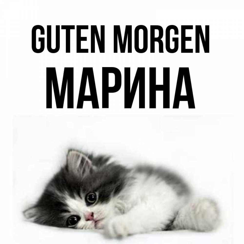 Открытка на каждый день с именем, Марина Guten Morgen кот лапки Прикольная открытка с пожеланием онлайн скачать бесплатно 