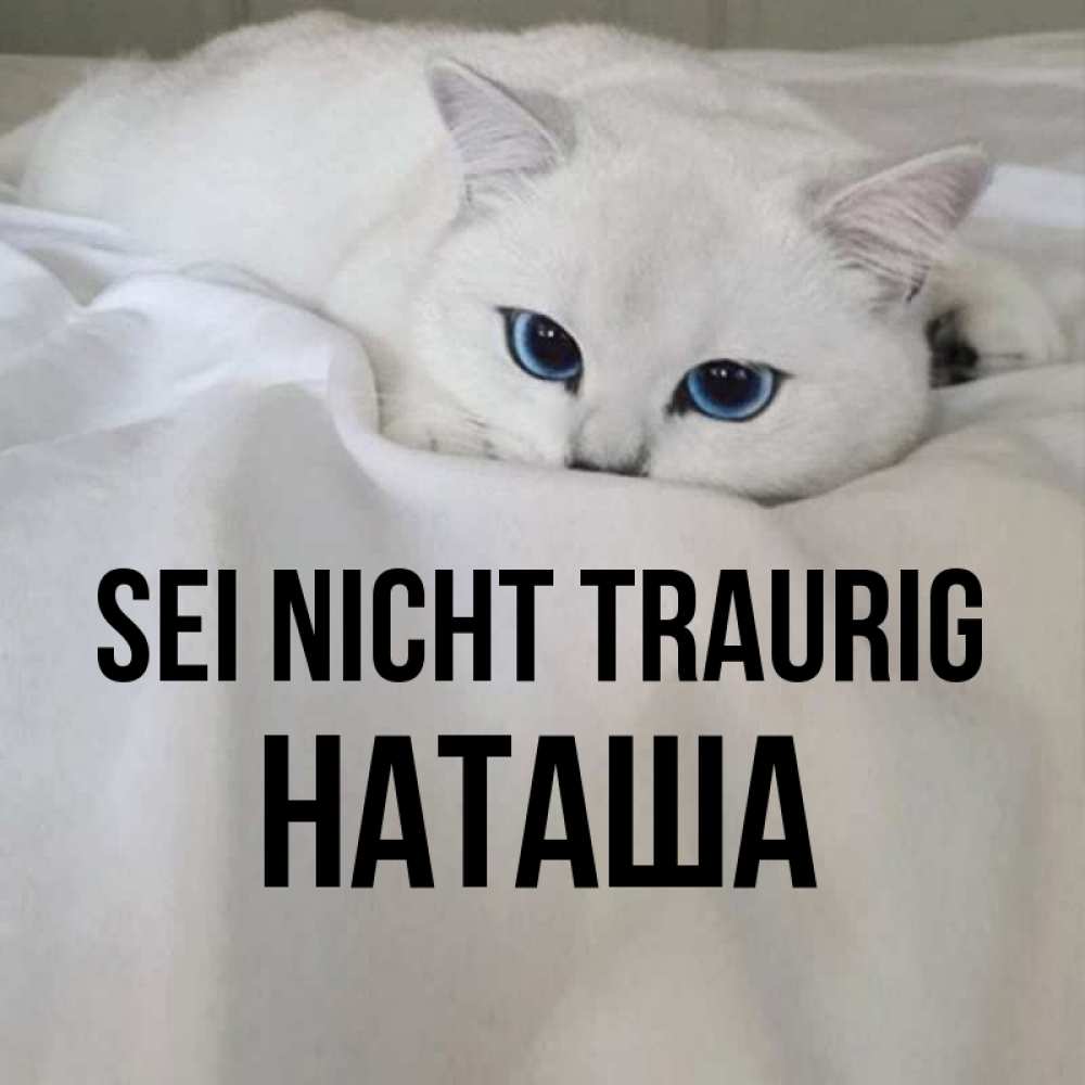 Открытка на каждый день с именем, Наташа Sei nicht traurig Голубоглазая кошка Прикольная открытка с пожеланием онлайн скачать бесплатно 