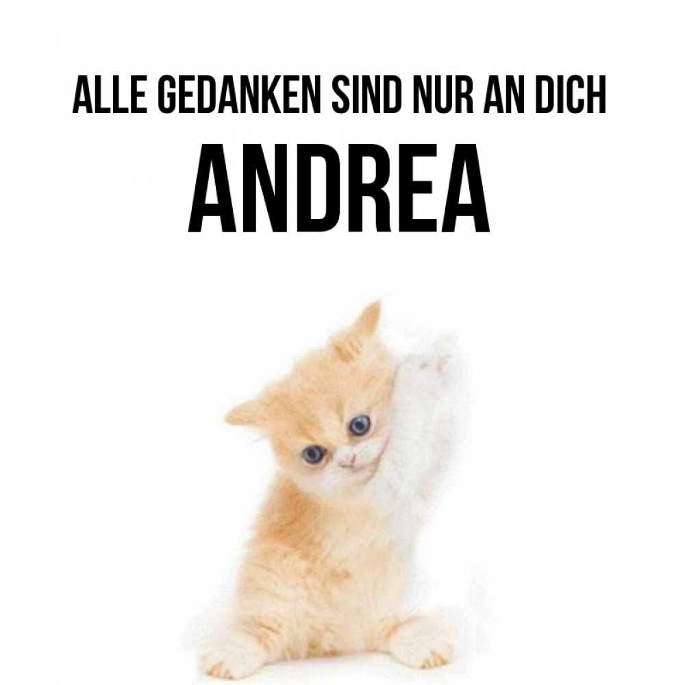 Открытка на каждый день с именем, Andrea Alle Gedanken sind nur an dich зверушки и милота Прикольная открытка с пожеланием онлайн скачать бесплатно 