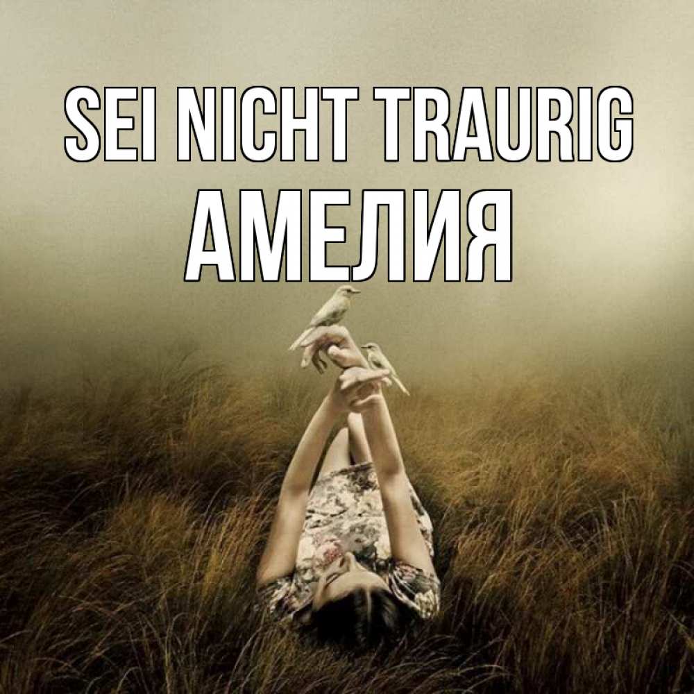 Открытка на каждый день с именем, Амелия Sei nicht traurig поле и туман Прикольная открытка с пожеланием онлайн скачать бесплатно 