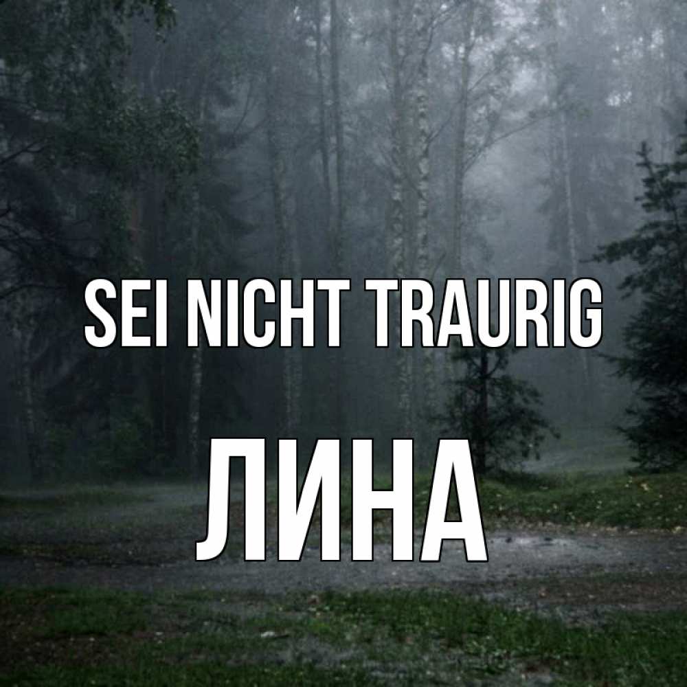 Открытка на каждый день с именем, Лина Sei nicht traurig осень Прикольная открытка с пожеланием онлайн скачать бесплатно 
