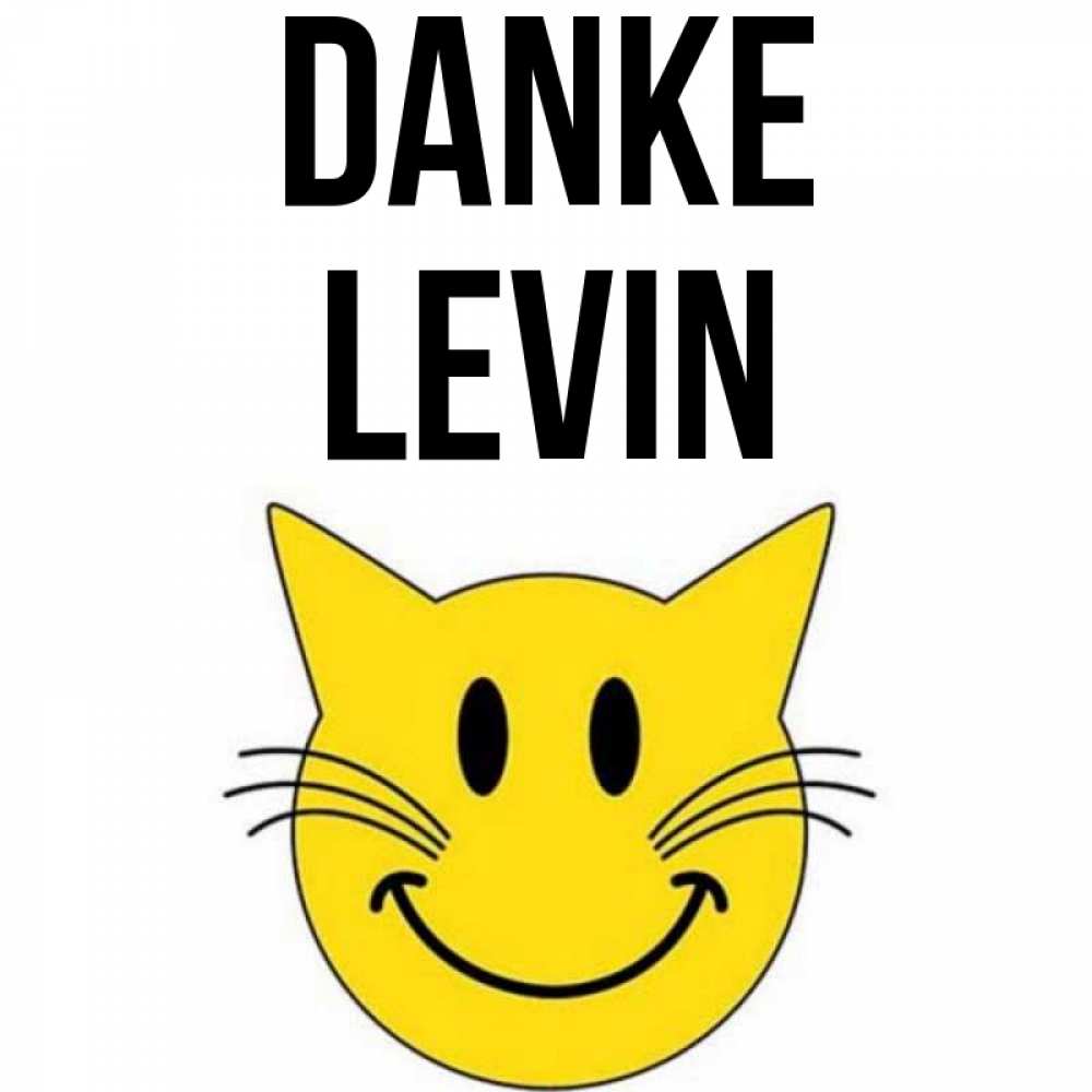 Открытка на каждый день с именем, Levin Danke улыбающийся смайл кот Прикольная открытка с пожеланием онлайн скачать бесплатно 