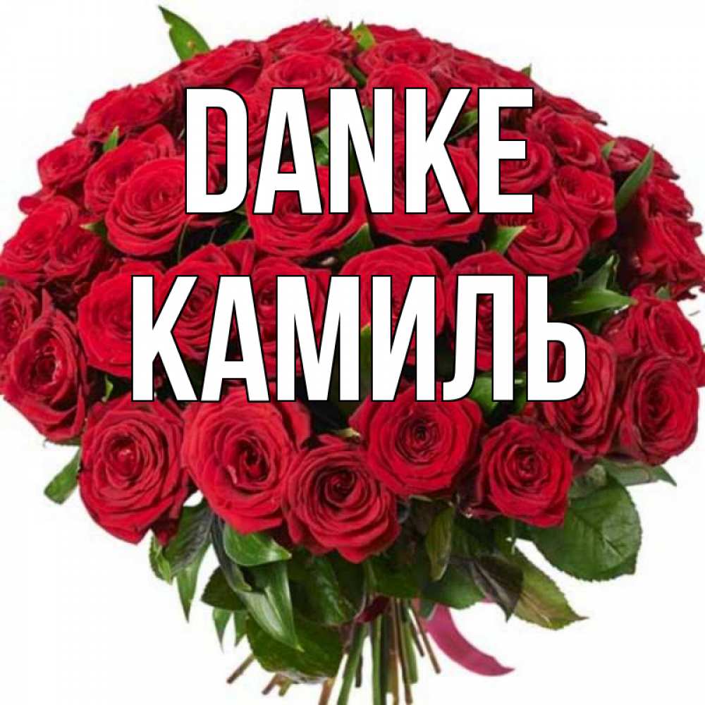 Открытка на каждый день с именем, Камиль Danke букет красных роз Прикольная открытка с пожеланием онлайн скачать бесплатно 