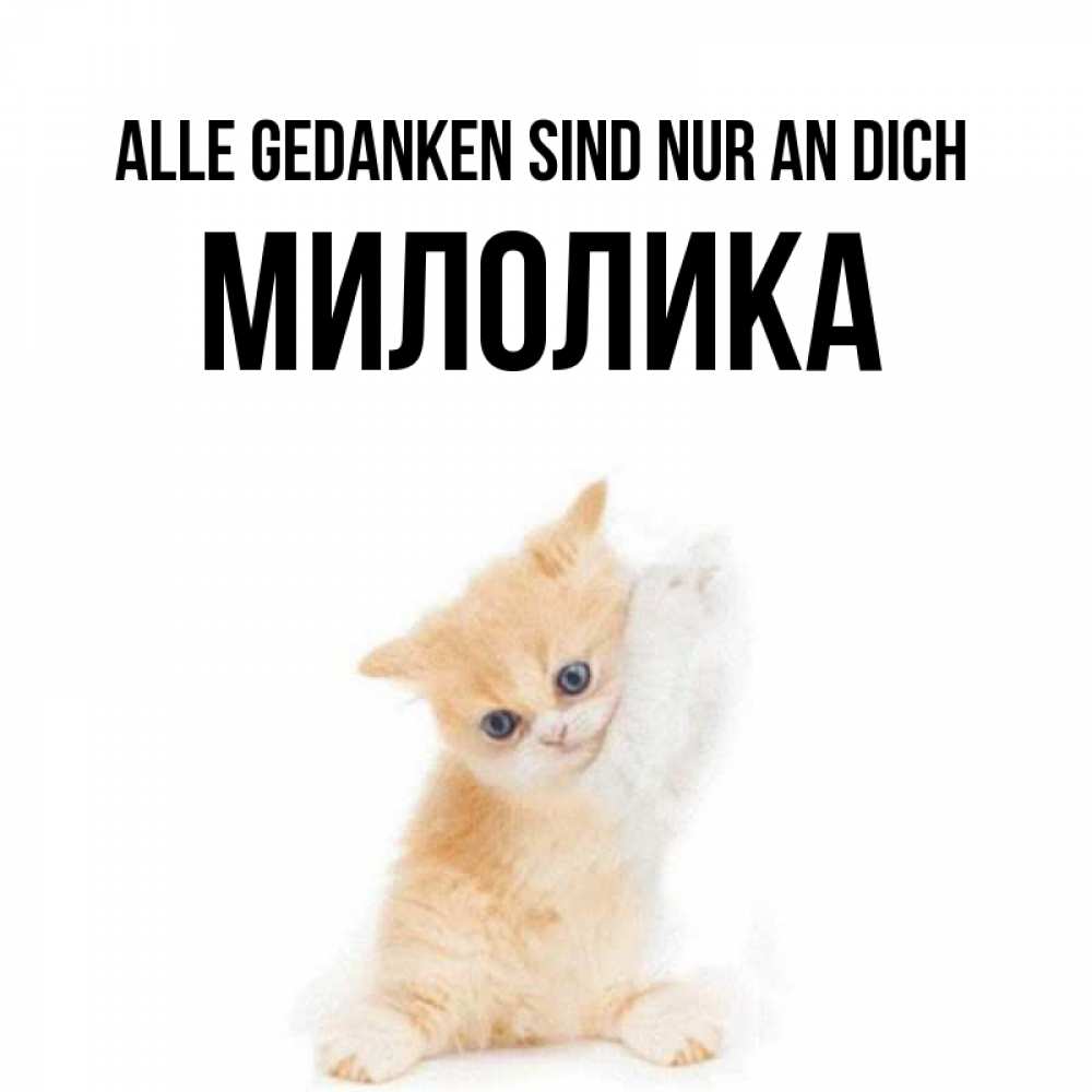 Открытка на каждый день с именем, Милолика Alle Gedanken sind nur an dich зверушки и милота Прикольная открытка с пожеланием онлайн скачать бесплатно 