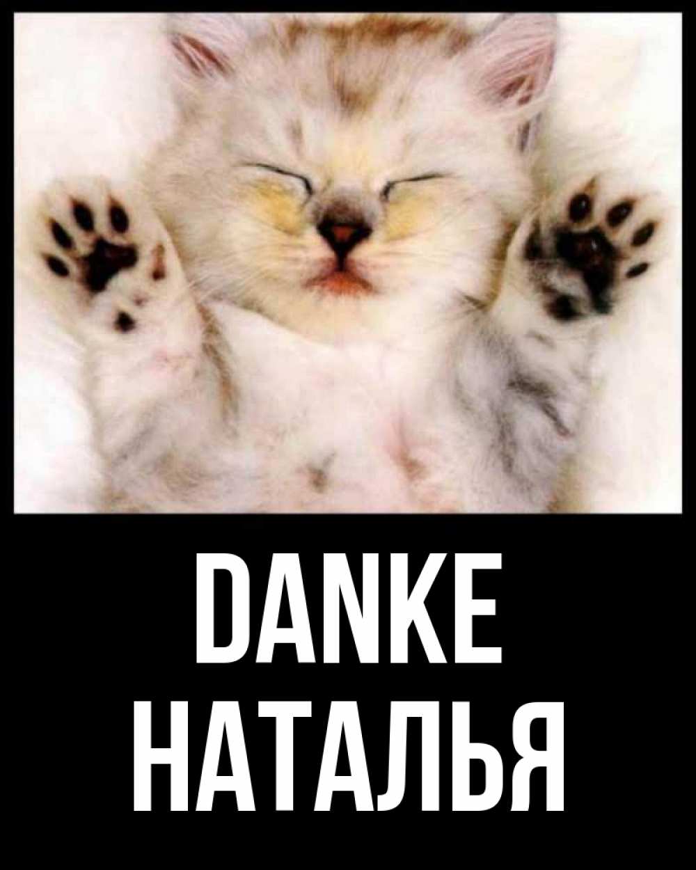 Открытка на каждый день с именем, Наталья Danke маленький котенок Прикольная открытка с пожеланием онлайн скачать бесплатно 