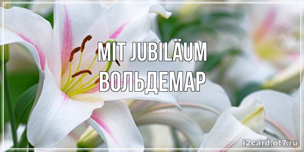 Открытка на каждый день с именем, Вольдемар Mit Jubiläum открытка с белой лилией Прикольная открытка с пожеланием онлайн скачать бесплатно 